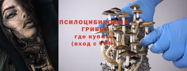 гидропоника Майский