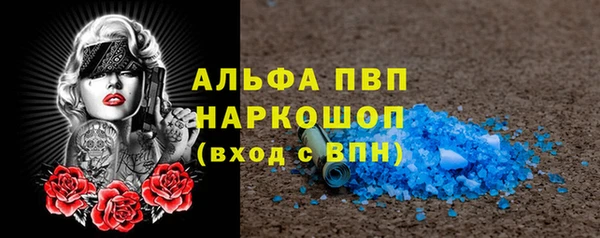 трава Медвежьегорск